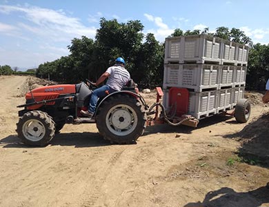 Transporte de Cajas en Tractor